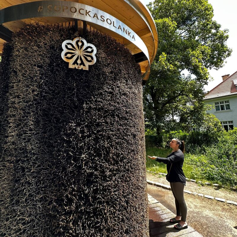 Zdjęcie 5: Nadmorski Szlak Kuracyjny